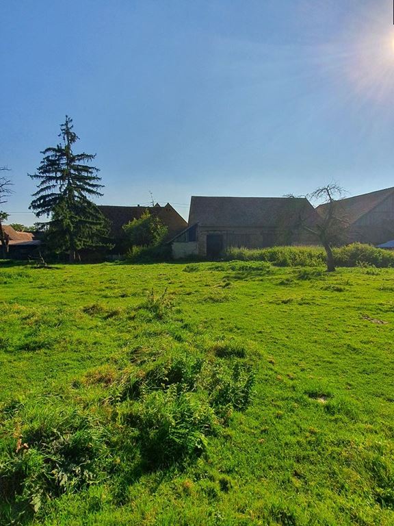 Corps de ferme WICKERSHEIM WILSHAUSEN (67270) ALPHA PATRIMOINE