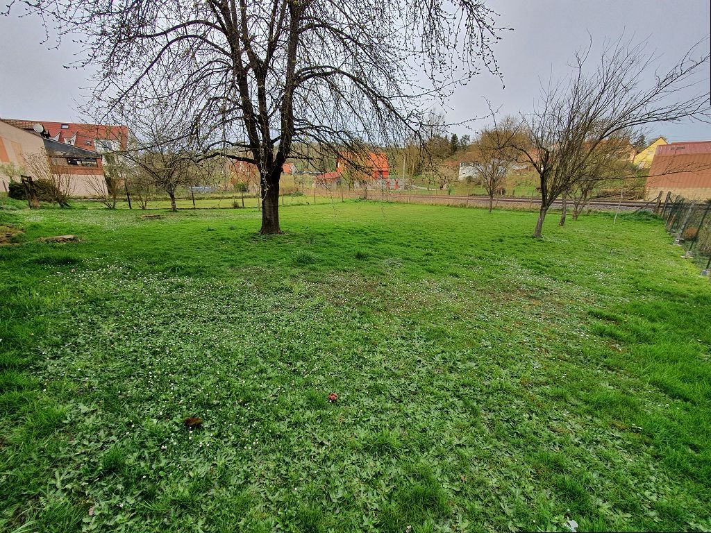 Ferme ETTENDORF (67350) ALPHA PATRIMOINE