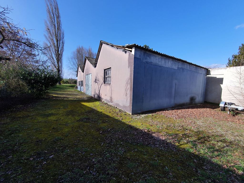 Local professionnel WICKERSHEIM WILSHAUSEN (67270) ALPHA PATRIMOINE
