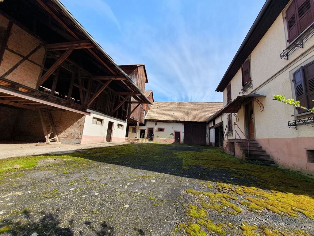 Corps de ferme RUMERSHEIM (67370) ALPHA PATRIMOINE