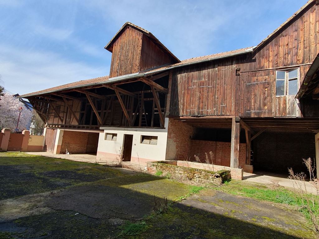 Corps de ferme RUMERSHEIM (67370) ALPHA PATRIMOINE