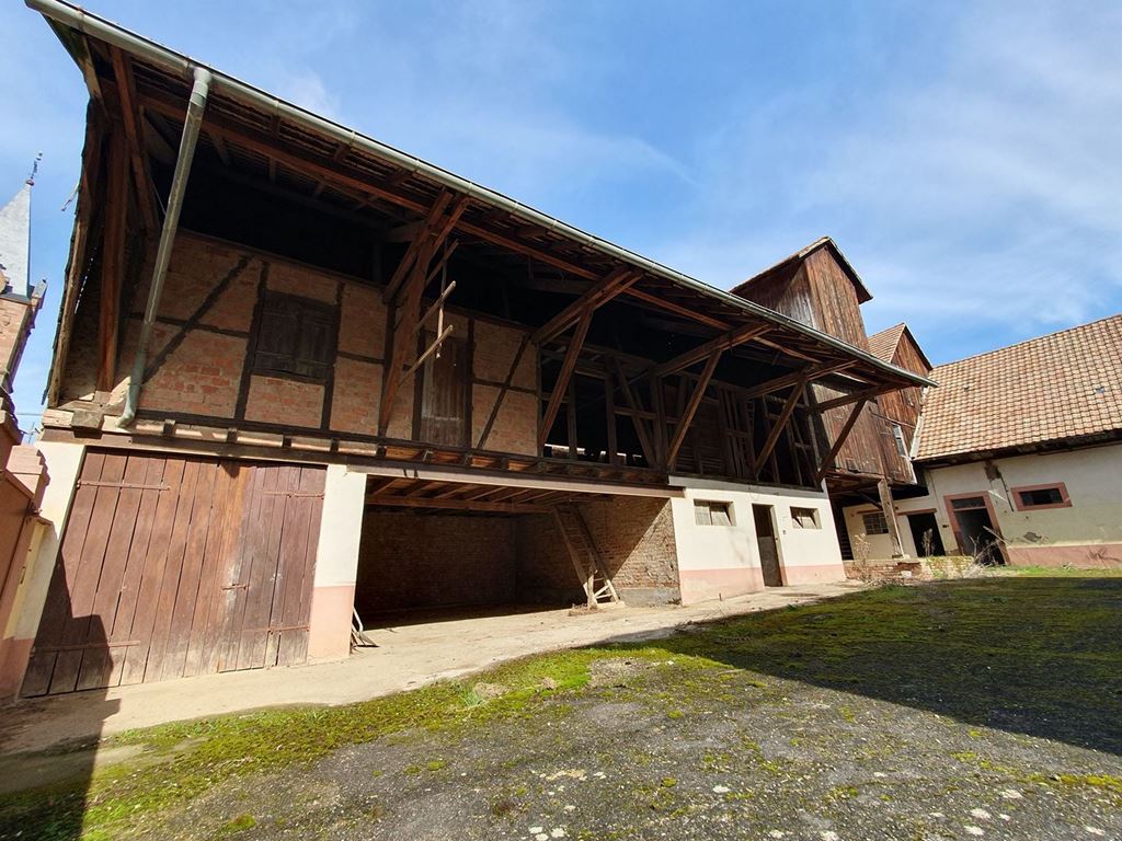 Grange GINGSHEIM (67270) ALPHA PATRIMOINE