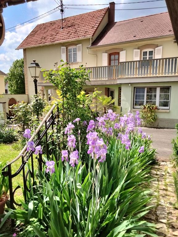 Maison WICKERSHEIM WILSHAUSEN (67270) ALPHA PATRIMOINE