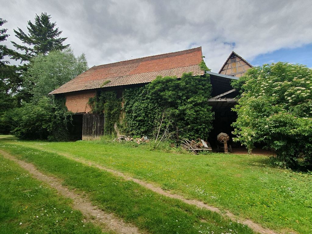 Corps de ferme ALTECKENDORF (67270) ALPHA PATRIMOINE