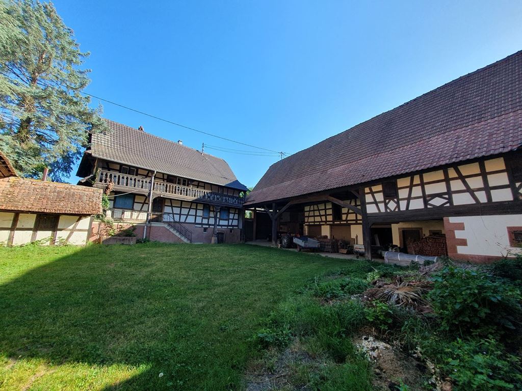 Corps de ferme ALTECKENDORF (67270) ALPHA PATRIMOINE