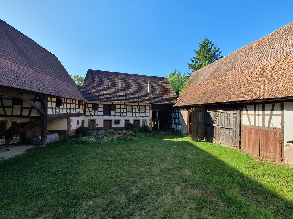 Corps de ferme ALTECKENDORF (67270) ALPHA PATRIMOINE