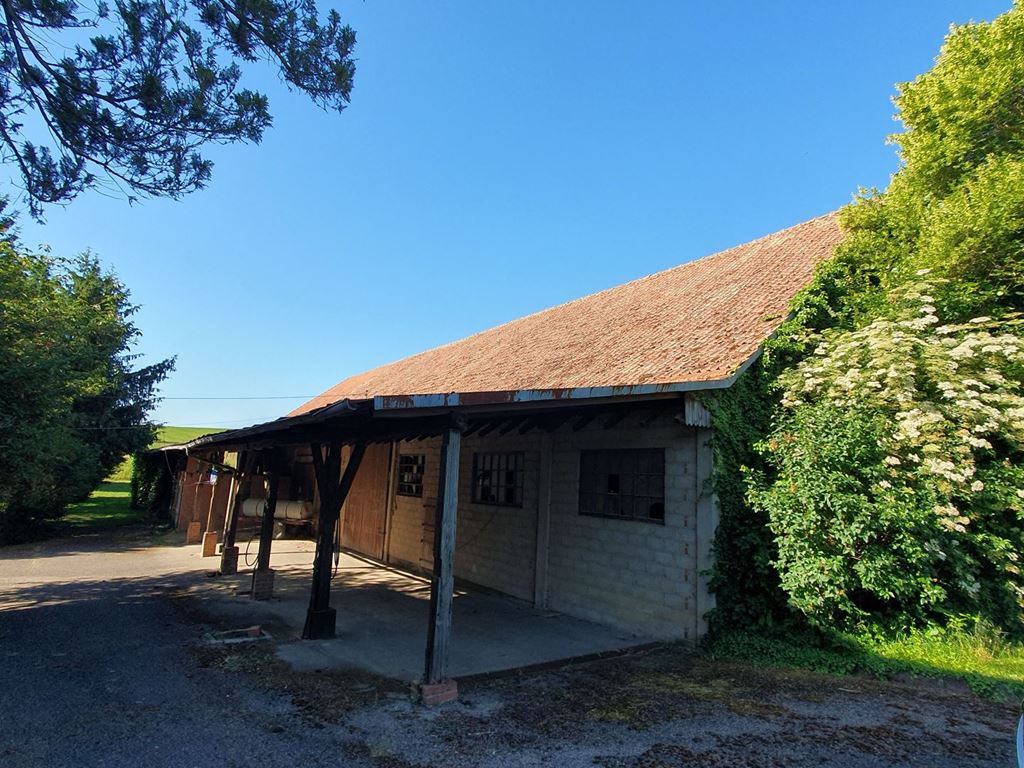 Grange ALTECKENDORF (67270) ALPHA PATRIMOINE