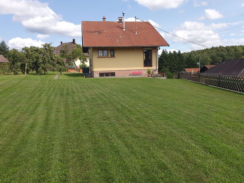 Maison traditionnelle REIPERTSWILLER (67340) ALPHA PATRIMOINE