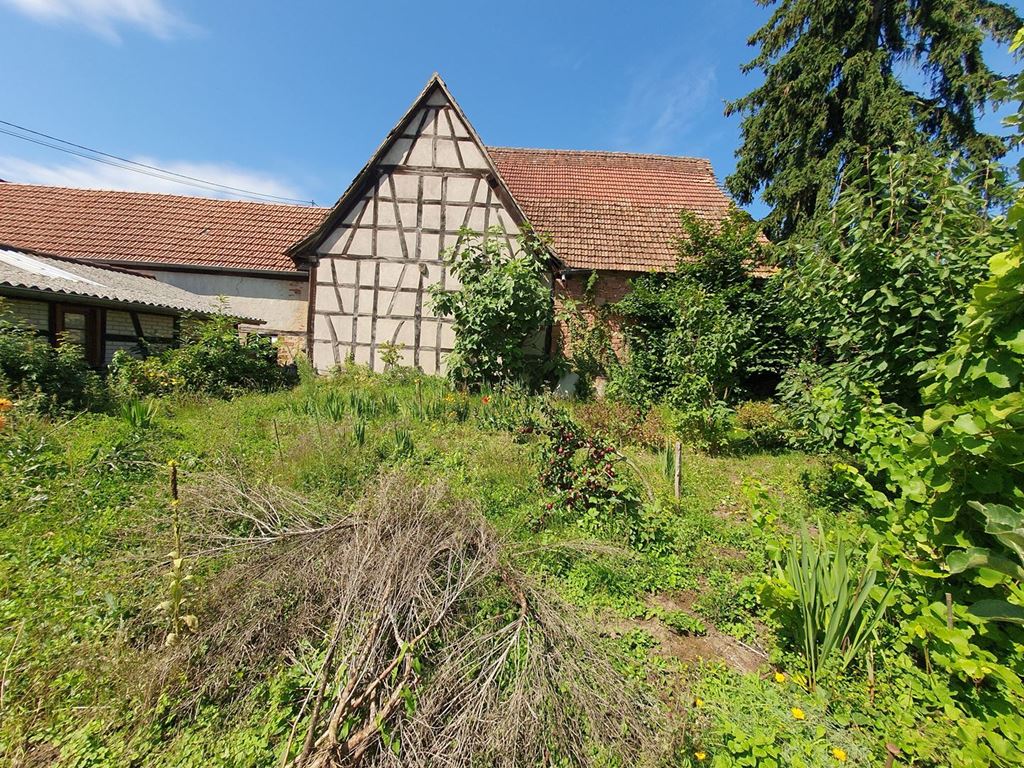 Corps de ferme GEISWILLER (67270) ALPHA PATRIMOINE