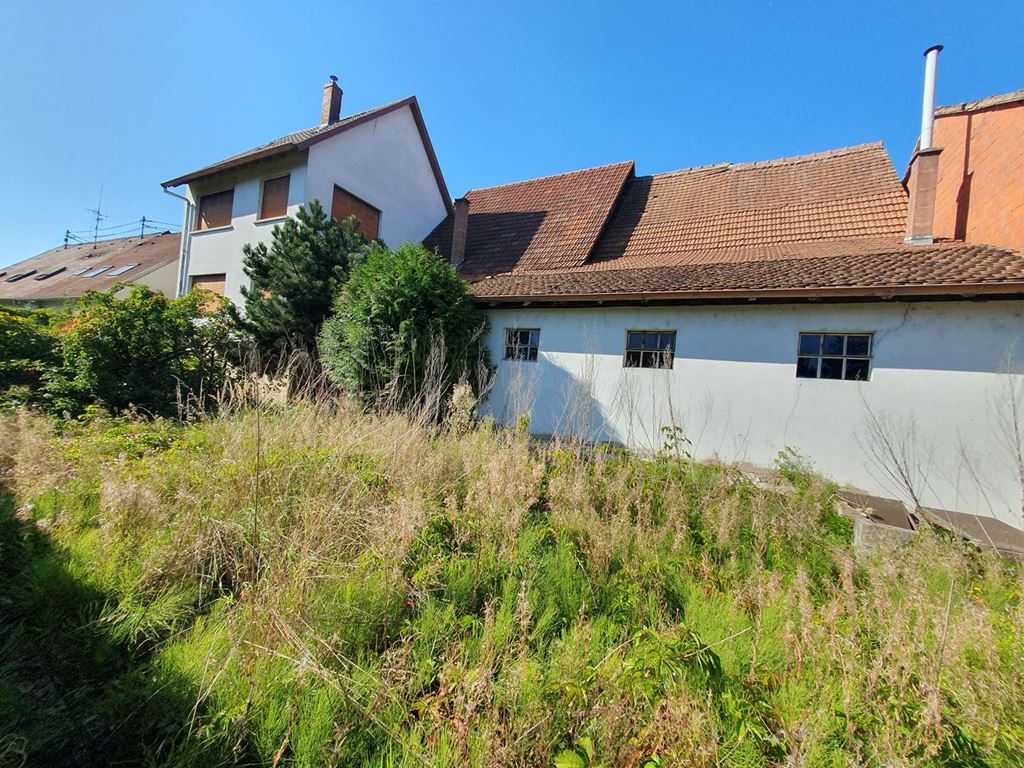 Maison de village SCHWINDRATZHEIM (67270) ALPHA PATRIMOINE