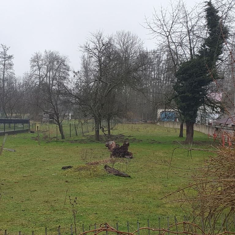 Terrain OTTERSWILLER (67700) ALPHA PATRIMOINE