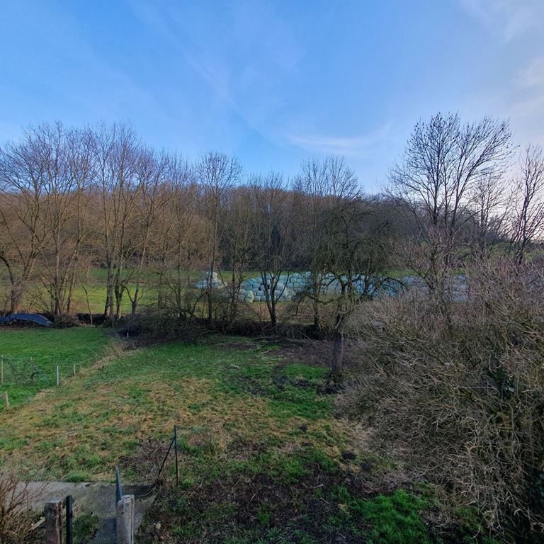 Maison de maître ROHR (67270) ALPHA PATRIMOINE