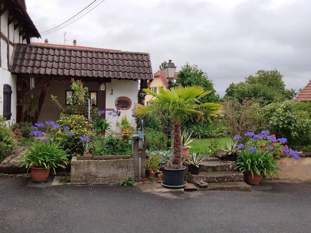 Maison traditionnelle WICKERSHEIM WILSHAUSEN (67270) ALPHA PATRIMOINE