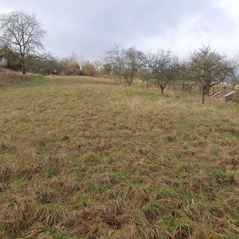 Terrain BOUXWILLER (67330) ALPHA PATRIMOINE