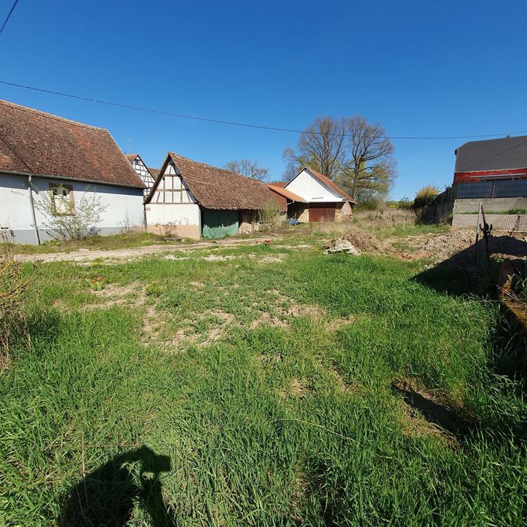 Terrain LIXHAUSEN (67270) ALPHA PATRIMOINE