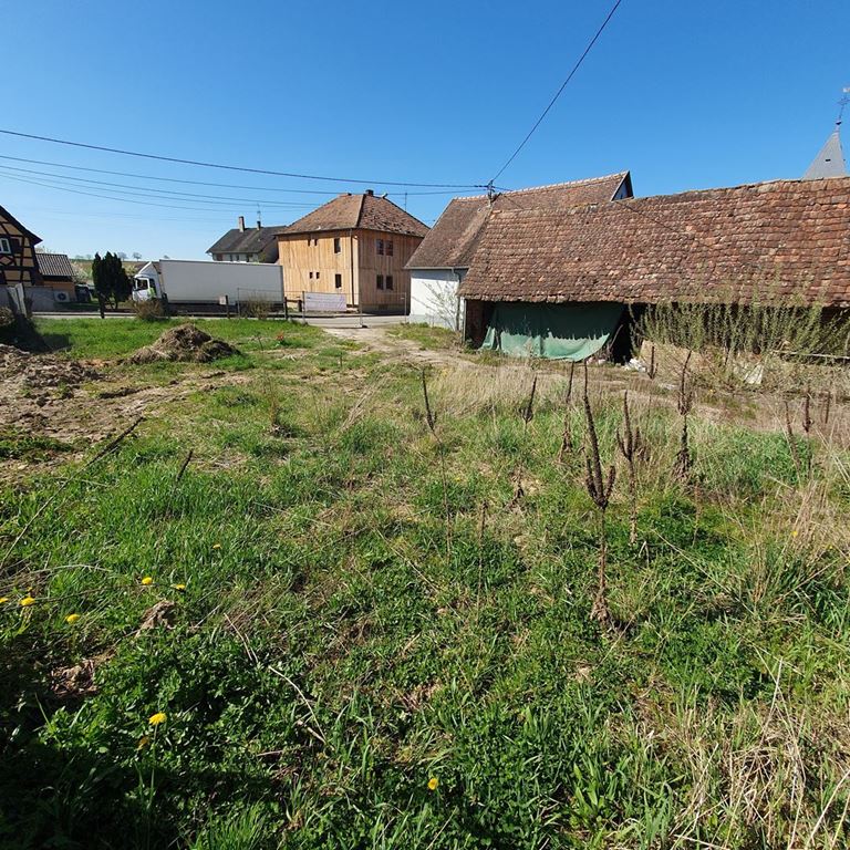 Terrain LIXHAUSEN (67270) ALPHA PATRIMOINE