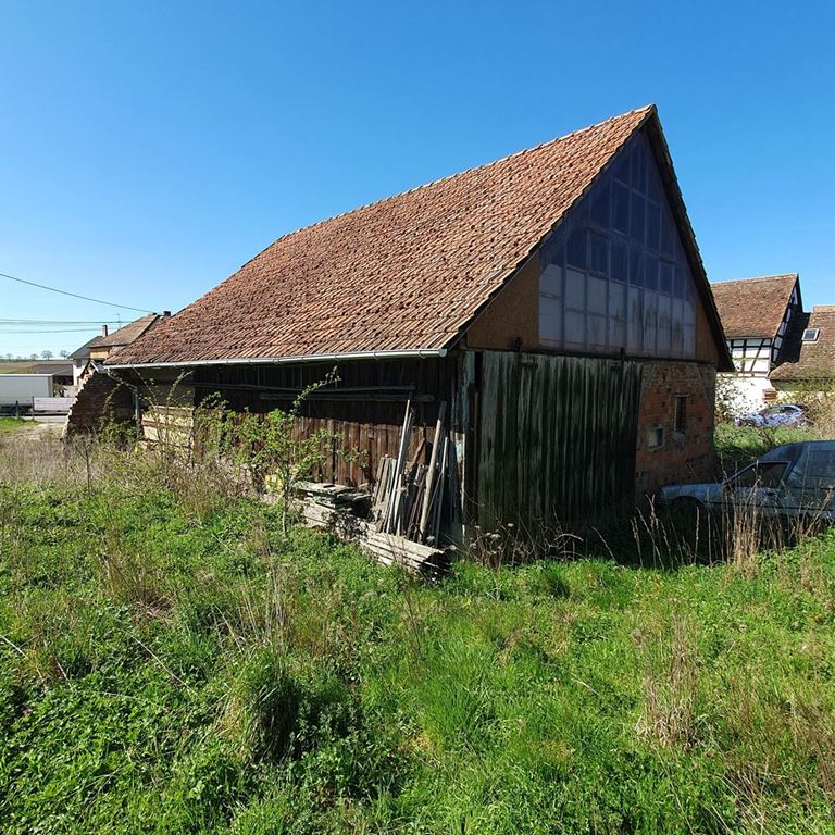 Terrain LIXHAUSEN (67270) ALPHA PATRIMOINE