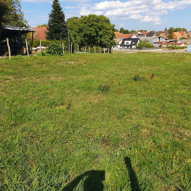 Terrain DUNTZENHEIM (67270) ALPHA PATRIMOINE
